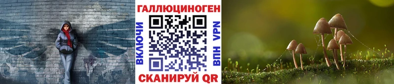 Галлюциногенные грибы Psilocybe Нолинск
